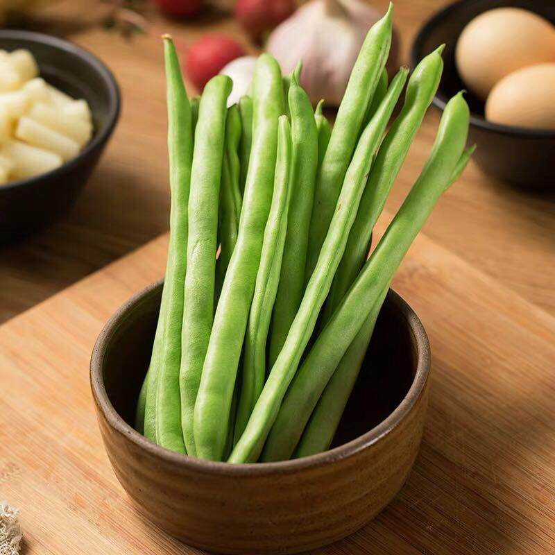 精品绿芸豆